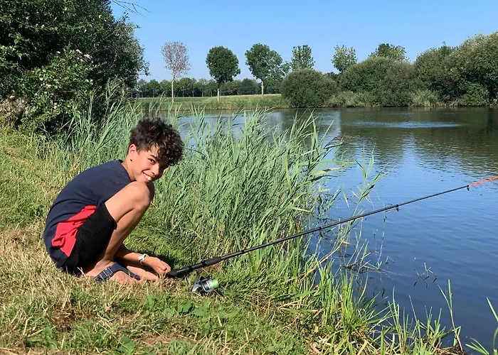 Het Gouden Hert Отель типа 