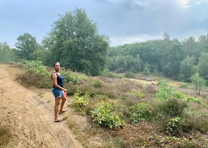 Het Gouden Hert ベッド・アンド・ブレックファスト