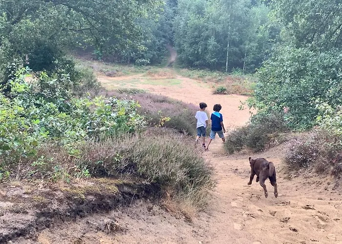 ベッド・アンド・ブレックファスト Het Gouden Hert *